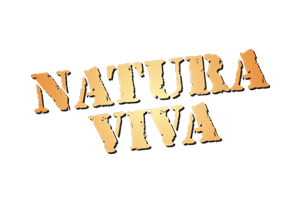 Vidalico_Natura_Viva
